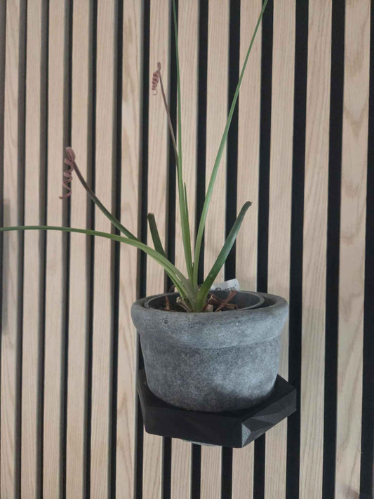 Holder til potteplanter - sæt af 3 stk