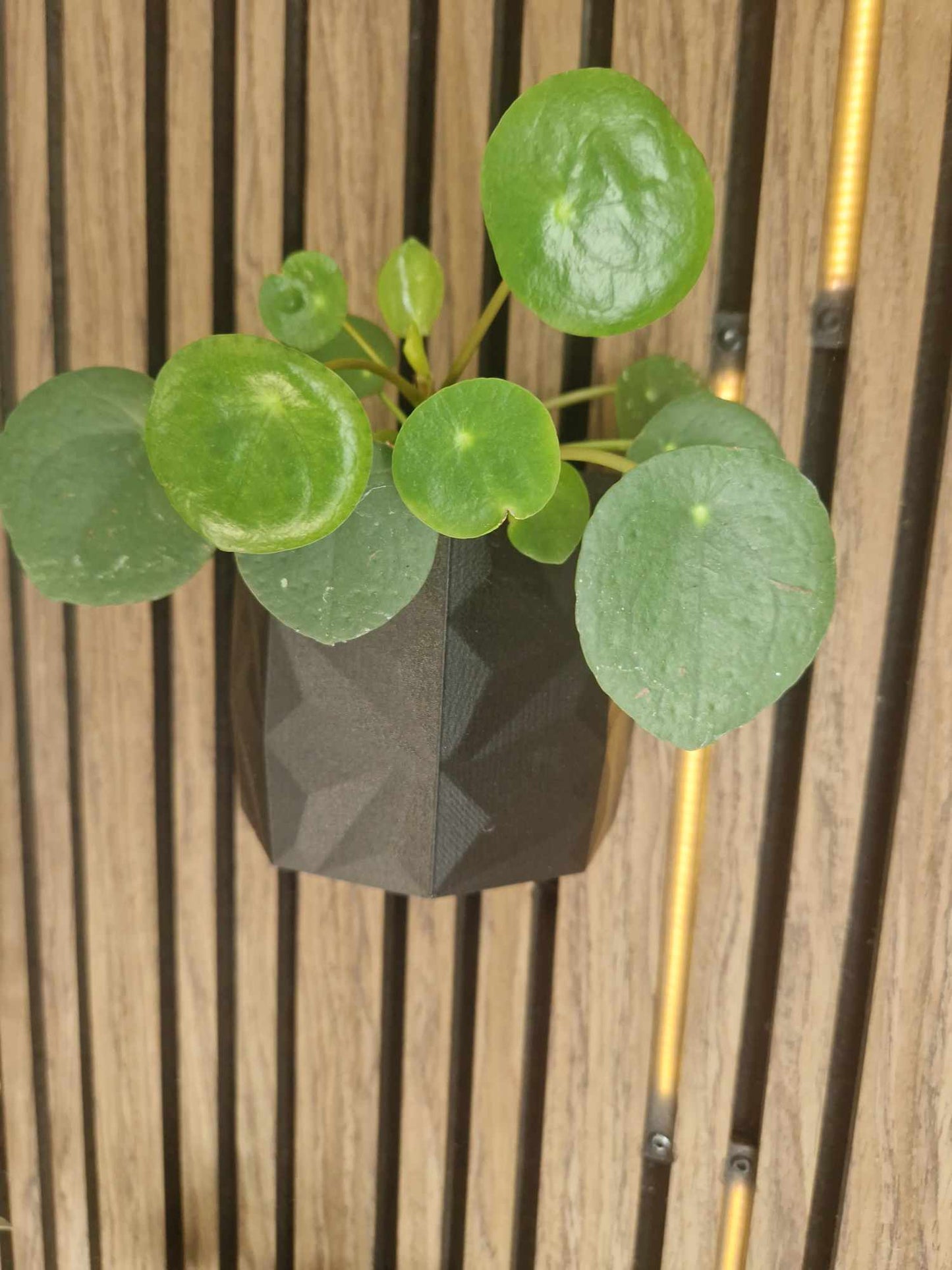 Mønstret krukkesæt - sæt af 3 stk